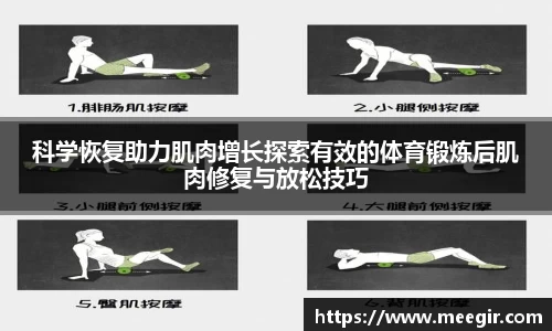 科学恢复助力肌肉增长探索有效的体育锻炼后肌肉修复与放松技巧